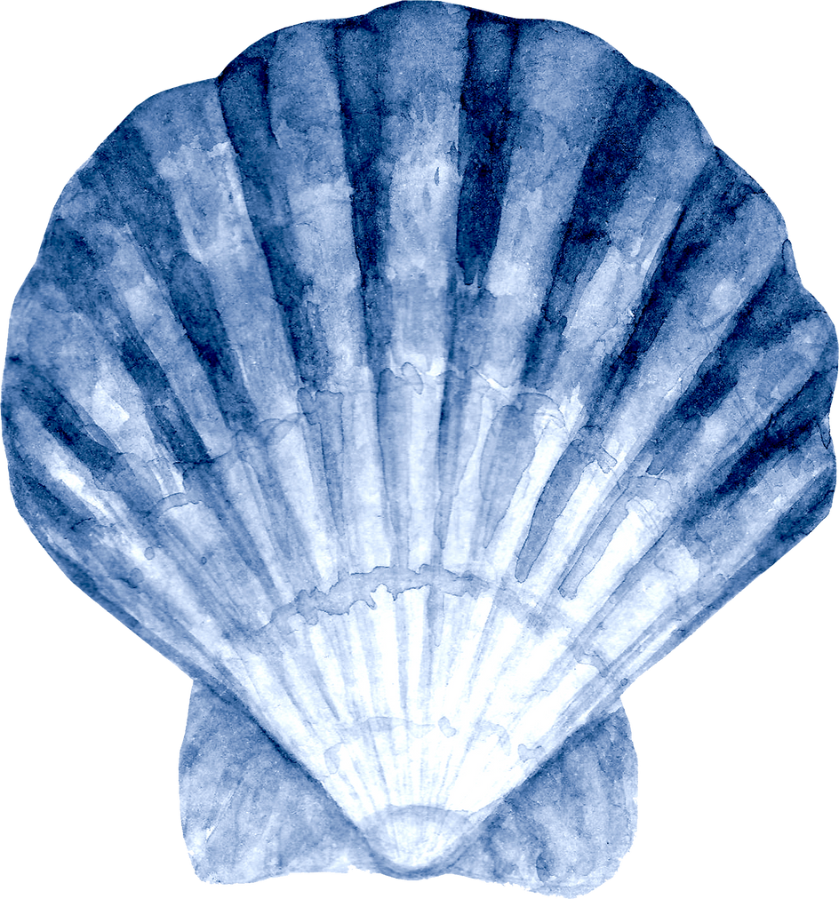 Blue navy seashell watercolor